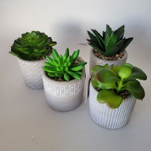 Artifical Small House Plants Succulent Cactus Faux 🌵 4 New